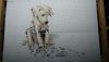 DSC_0494.thumb.JPG.042d6e3e197a465e333d0662b470c30e.JPG