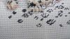 DSC_0495.thumb.JPG.7fcaf2893b265c27152e6189fe9a2773.JPG