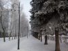DSC_0521.thumb.JPG.25467eb75feff74dc7afbfc02a5a1ef6.JPG