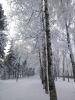 DSC_0535.thumb.JPG.2481dc9b79b23b77406bf72708ca2f79.JPG