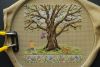 DSC_4941.thumb.JPG.054166c7567af82a6b48132aa69e90c3.JPG