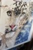 DSC_5237.thumb.JPG.eb6c0c5b39bb142539367b48c8e07fbf.JPG