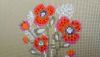 DSC_7893.thumb.JPG.6452fbd5a826b5a05f2be0f672c4cde3.JPG