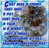 E1FF3F87-3B0F-4254-8FDF-AB6158BD12E8.thumb.jpeg.52a7ed133d24e3469baafe1fc882a91e.jpeg