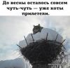 IMG-20180228-WA0009.thumb.jpg.14c03ebec250fedc6bfb313f215324b3.jpg