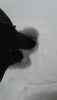 IMG-20180304-WA0002.thumb.jpg.512f7e7b16b884a67f8ca1f2fe371306.jpg