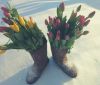 IMG-20180308-WA0004.thumb.jpg.e32bfce51f9086f59d8bf6d3dc54f342.jpg