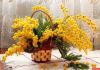 IMG-20180308-WA0016.thumb.jpg.d841e8c1c385759623ed30b84cbf3fc0.jpg