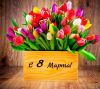 IMG-20180308-WA0048.thumb.jpg.8ca8566bb36cc66f292763fc64b6ef1e.jpg