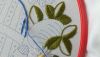 IMG-20180322-WA0025.thumb.jpg.04df4fe8d69746df91affc72be68412f.jpg