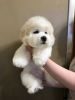 IMG-20180323-WA0004.jpg