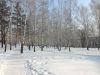IMG_20180226_121022.thumb.jpg.a639d1b1445e3749950313bae759579a.jpg