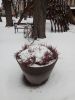 IMG_20180309_125506.thumb.jpg.1c59ab98c1ed497f56f7ff7261ee34ce.jpg