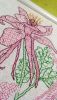 IMG_20180312_001425.thumb.jpg.e673d8cb7f8acf55a6a2daa472b32eed.jpg