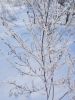 IMG_20180324_090627.thumb.jpg.bc986679845ffcaf5acf0b25fd98c87a.jpg