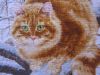 IMG_3052.thumb.JPG.8d202c125c1369cd72ea830b8746350f.JPG