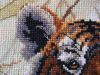 IMG_4014-1.thumb.jpg.c00e436d0a696a3277e5a3be241333b1.jpg