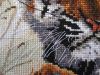 IMG_4017-1.thumb.jpg.8fee52644e8bc8b17e3f7699f6c6aef0.jpg