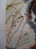 IMG_4021-1.thumb.jpg.a279a300dc637dbc490c1f46455eceda.jpg