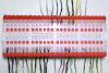 IMG_4130.jpg