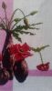 P_20180320_103745.thumb.jpg.f3fe4efea839f3814175f32435a7d612.jpg