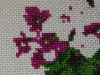 RSCN2357.thumb.JPG.eab5401cf7995f30aa99235cb90c4cec.JPG