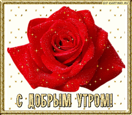 dobroe-utro_18.thumb.gif.565e2a0cefcf10f04c3cc48e32236e52.gif