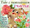 f523a.thumb.jpg.c435589ecb3263cf5954224167bb05d2.jpg