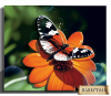 fa2jmv2x79n68p4_c1bed699.thumb.png.8ba947776acbc3c5907ac02c797d039a.png
