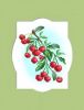 matrenin-posad-55bp.thumb.jpg.95059e9716a9eb40115e24d1f0c71fd7.jpg