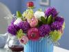 spring-flowers-new-ideas-hyacinths3.thumb.jpg.450c11e1c62aabb31d7c95e13614a40b.jpg