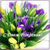 074ED1EF-1FF6-4C25-9E0E-FC972B1B7367.thumb.jpeg.db379d54aece3409bc7f39d5a228fad4.jpeg
