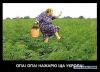 082f25142ba146f6179e54bf006d7d62.thumb.jpg.3820277522addde708c46c92d8c858ae.jpg