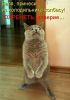 0d01c9f6dd125d4187a57fe14dfe9028.thumb.jpg.4412b92ae5ce60071dea7ba48e4619f3.jpg
