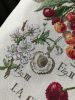 10F389C7-E0BF-43BB-BD00-A25D916AFD4F.thumb.jpeg.bd2d51850156077ff0b1de0db037da27.jpeg
