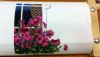 149184-4ac74-83982509-m750x740-ufa2a7.thumb.jpg.164b6be69aa871f4e025c0b4dc14df3b.jpg