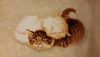20141126_190440.thumb.jpg.8dac1835a3e53332c5b3e04333eab331.jpg
