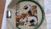 20150202_161431.thumb.jpg.6336b254e3394040c5989b2182943e04.jpg