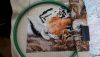 20150313_160807.thumb.jpg.cc5140bb599ea937167b8686decab103.jpg