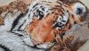 20150330_075724.thumb.jpg.3a66565ce6cfff633b4847c025718339.jpg