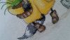 20180202_140642.thumb.jpg.847643db634066678bf2ec0fce0220c0.jpg