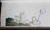 20180403_102934.thumb.jpg.80f38a0db9d54dc72ed920d722608c3f.jpg