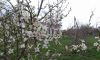 20180403_141344.jpg