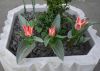 20180411_091902.thumb.jpg.f883d4c4e03708bef4085f24682004a4.jpg