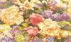 20180420_093953.jpg