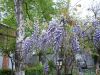 20180421_093747.thumb.jpg.3c8e2faf620affa71c712ea8618994d1.jpg