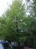 20180421_095534.thumb.jpg.e4beef8b27868716ae4b31cc2f1d8731.jpg?1524379420025