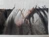 20180421_160747.thumb.jpg.3cfee033d9eaa28b208ac49d2241bcd4.jpg