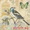 Dimensions 35290, Nature Study