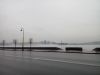 245020301_240788.jpg